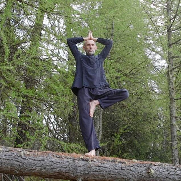 Andrea in posizione yoga su un piede solo sopra al tronco di un albero con alle spalle un bosco di abeti
